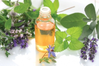 6 loại tinh dầu có tác dụng chữa bệnh kì diệu